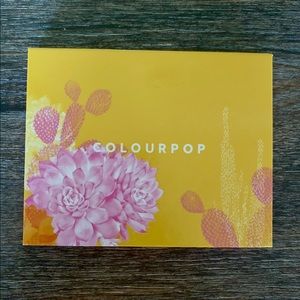Colourpop Magnetic Palette! Festival Edition